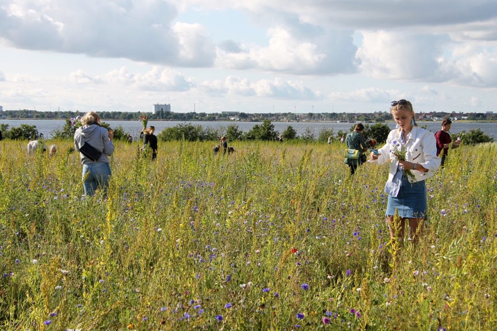 Blomster Selinevej København