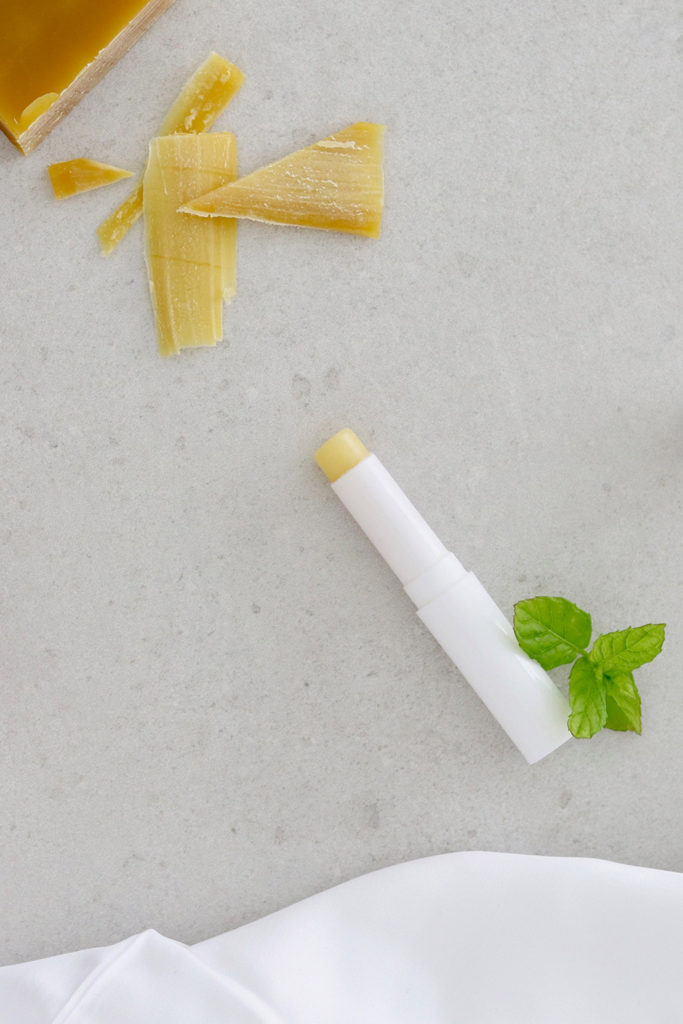 Hjemmelavet læbepomade - opskrift med sheasmør, arganolie mynte