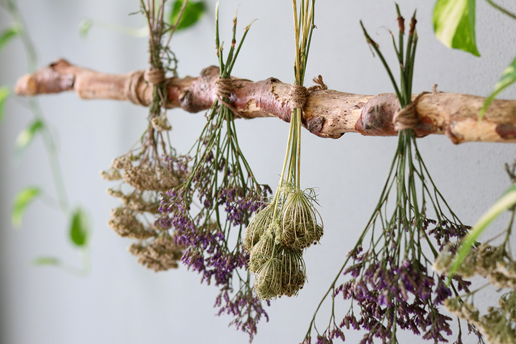 Tørrede blomster - lav din egen vægdekoration med blomster